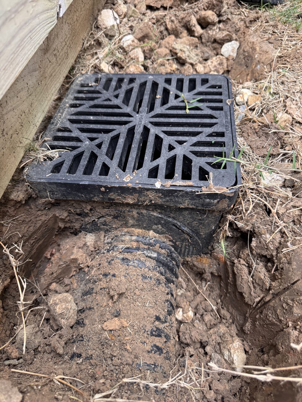 A drainage catch basin and grate installed in a Katy yard by Elite Sprinkler