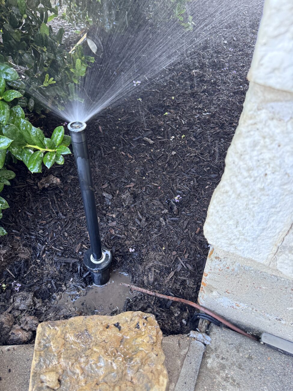 Sprinkler head spraying a fan of water across a green Katy lawn