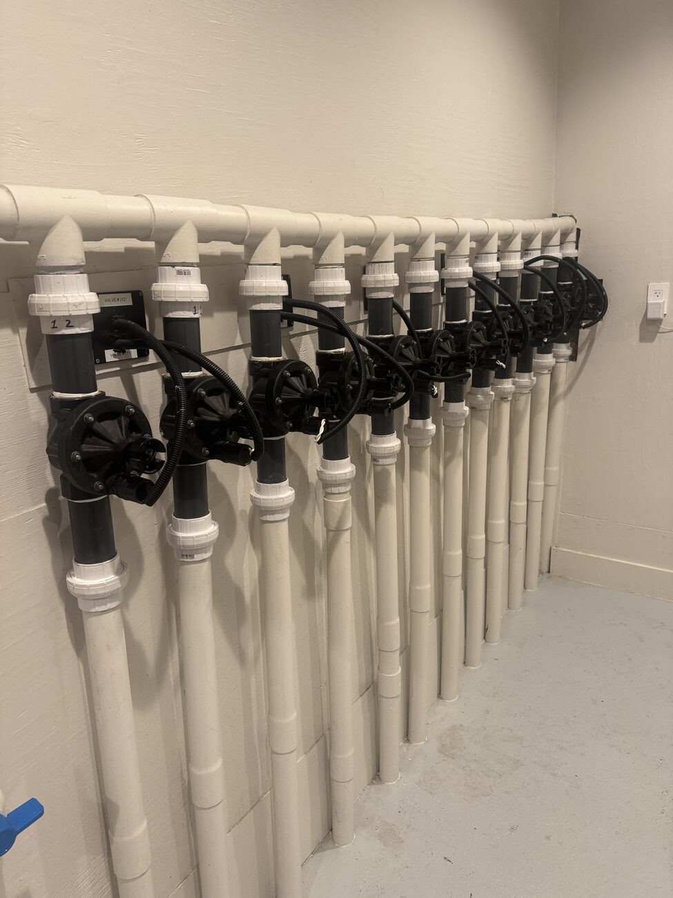 A row of new sprinkler heads and risers ready for a Katy installation