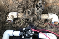 Katy Pipe leaks