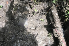 Katy Pipe leaks